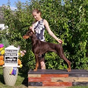 Meet your Posher, Ashley